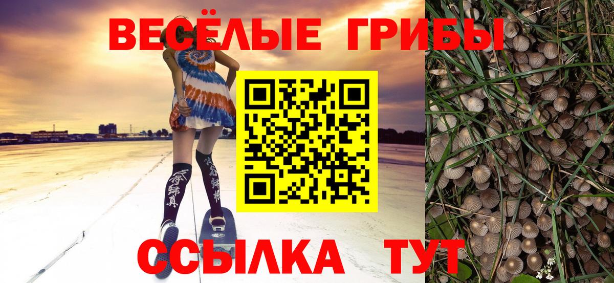 Псилоцибиновые грибы GOLDEN TEACHER Борзя