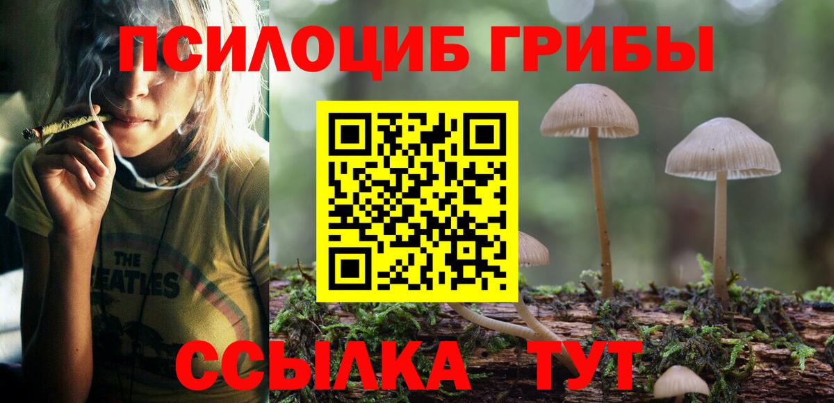 Борзя  Псилоцибиновые грибы Psilocybe  Вход с VPN  Галлюциногенные грибы мухоморы 